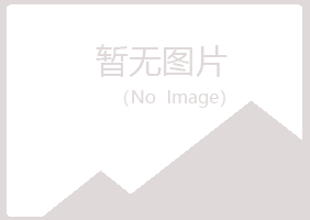 大庆红岗迷茫化学有限公司